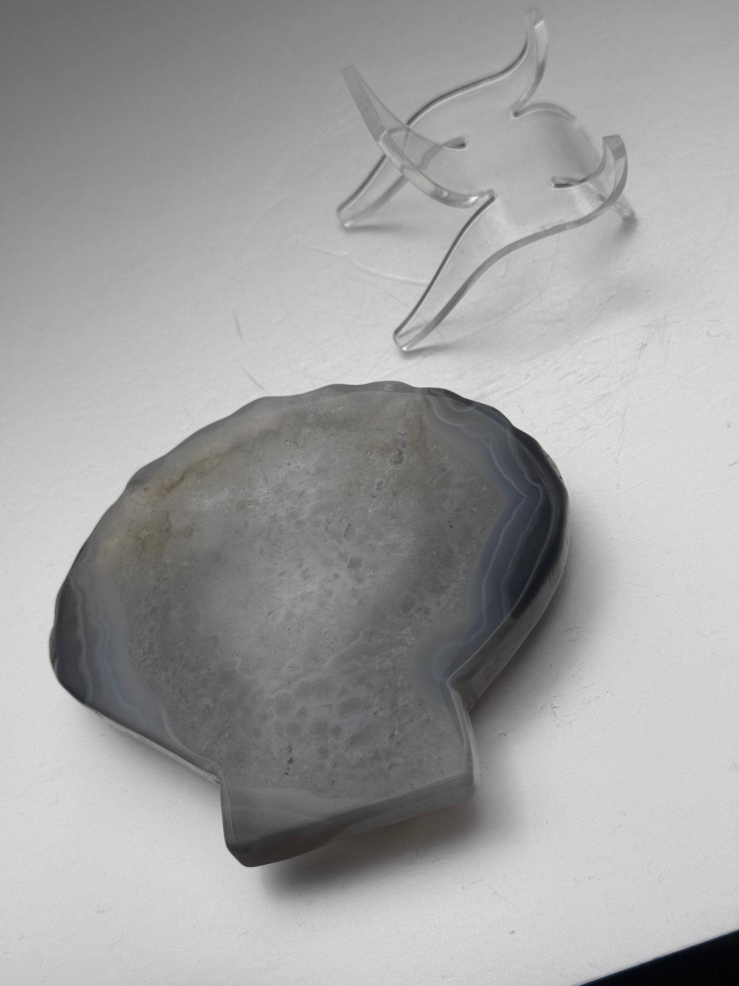 Botswana Agate Druzy Shell Carving