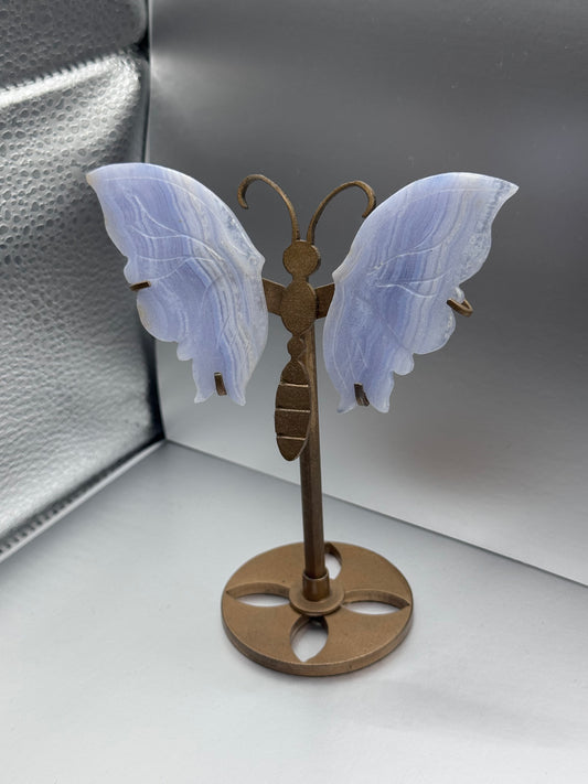 Blue Lace Agate carved wings on gold stand