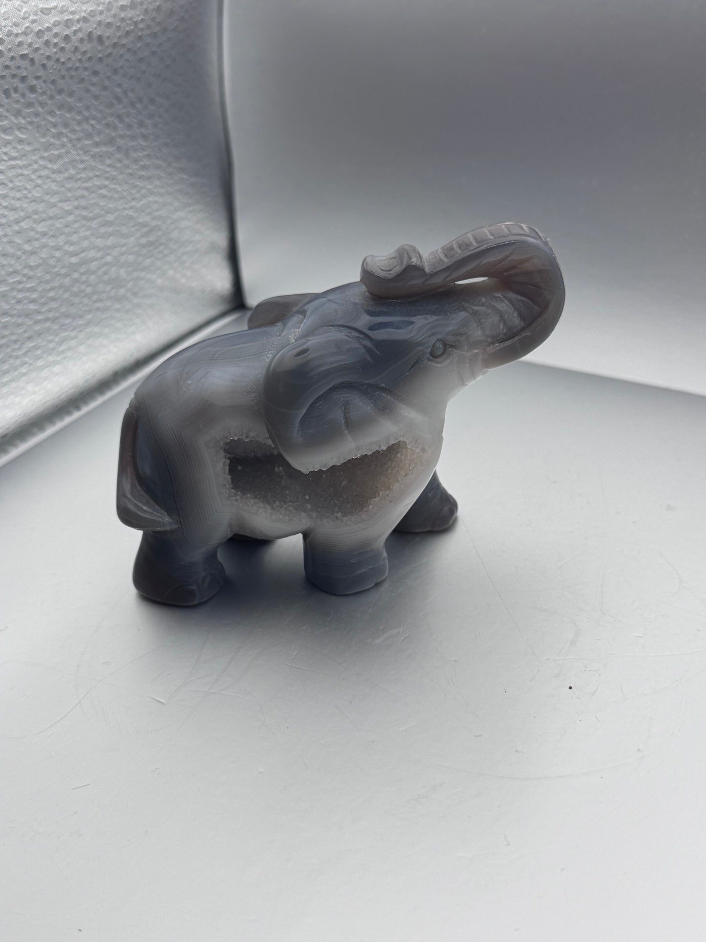 Botswana Agate hand carved elephant with an open druzy pocket