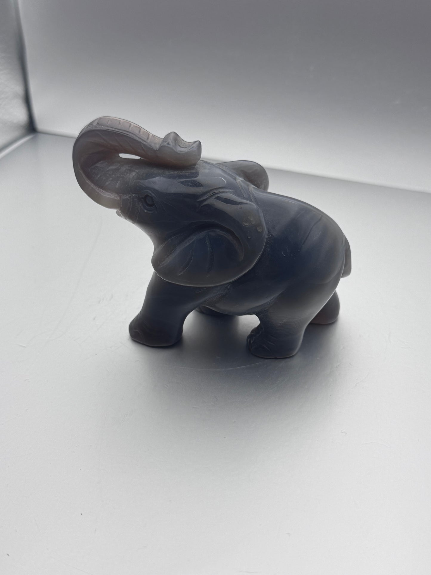 Botswana Agate hand carved elephant with an open druzy pocket