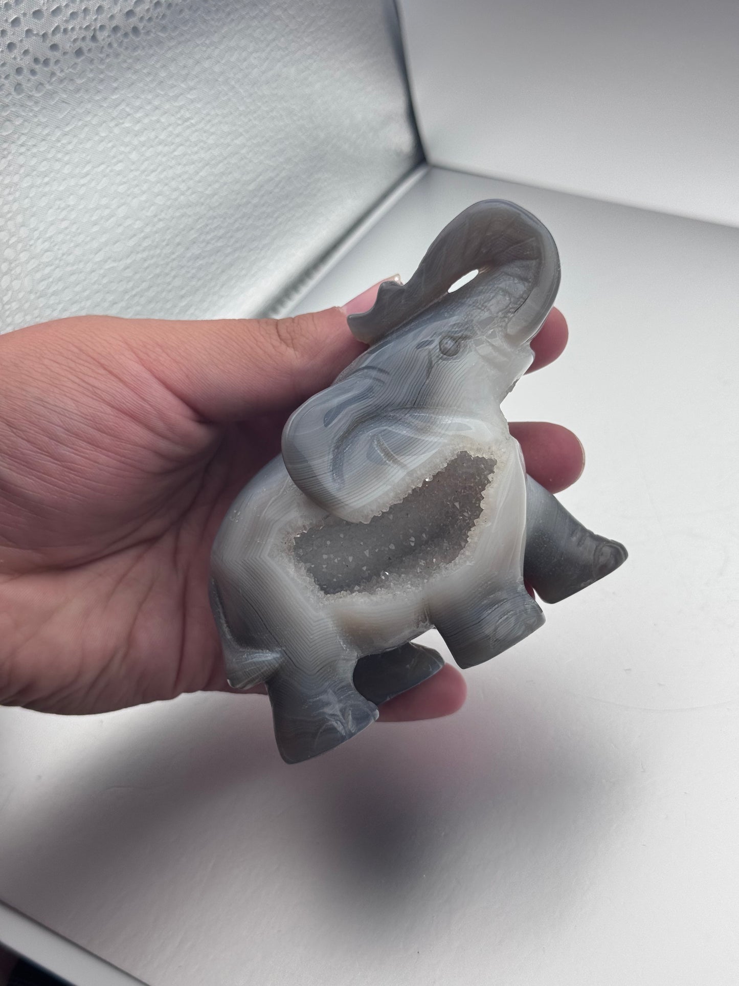 Botswana Agate hand carved elephant with an open druzy pocket