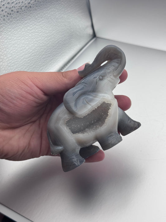 Botswana Agate hand carved elephant with an open druzy pocket