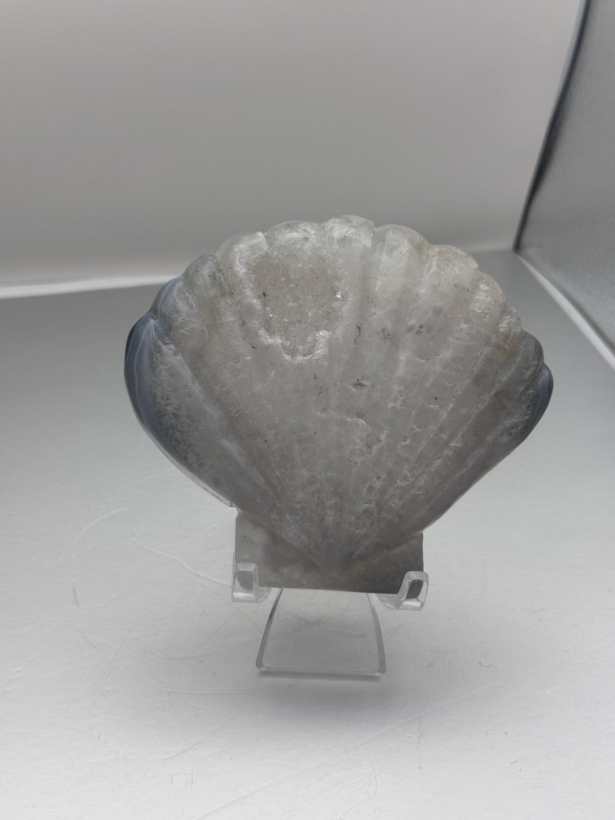 Botswana Agate Druzy Shell Carving