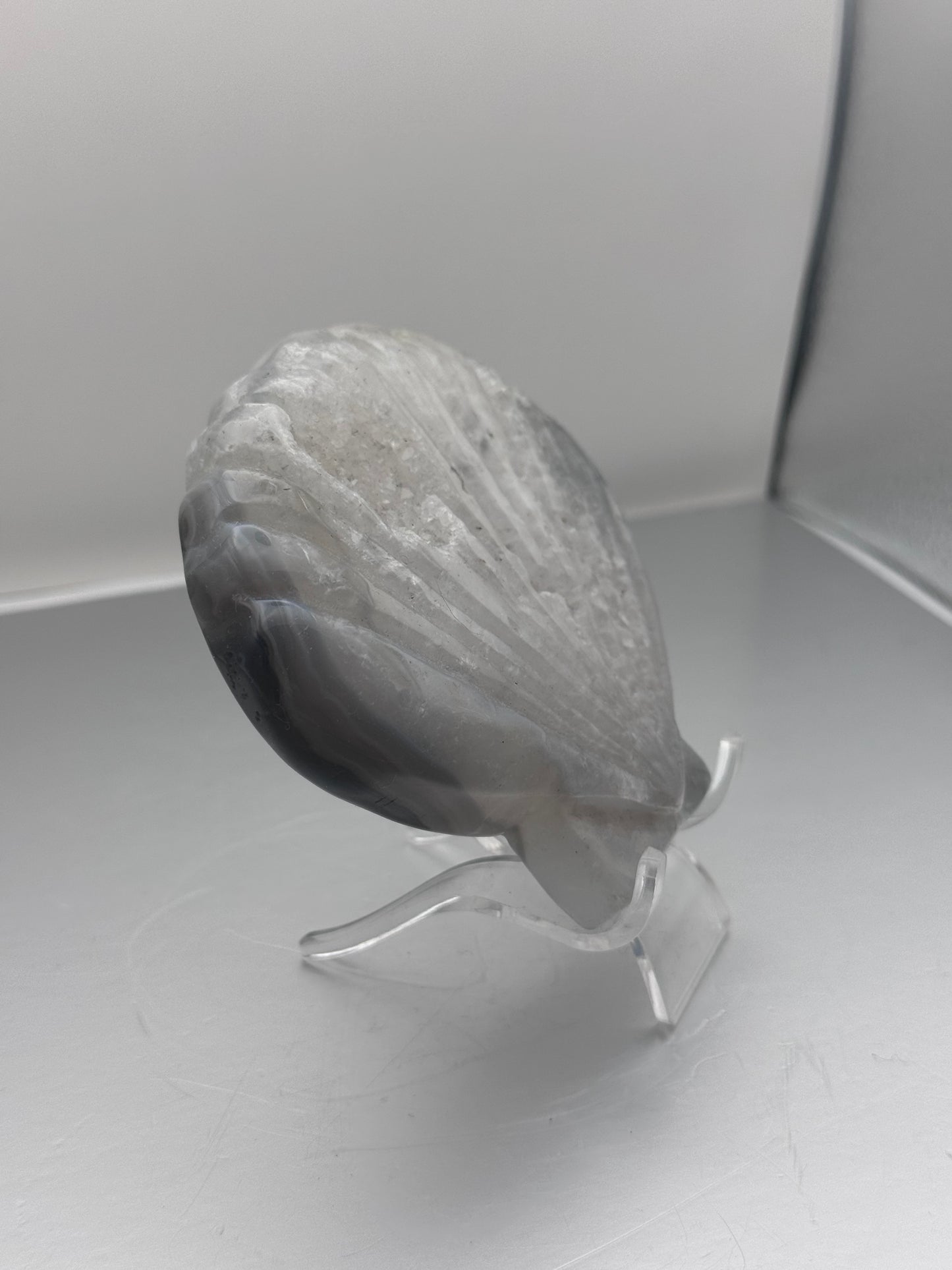 Botswana Agate Druzy Shell Carving