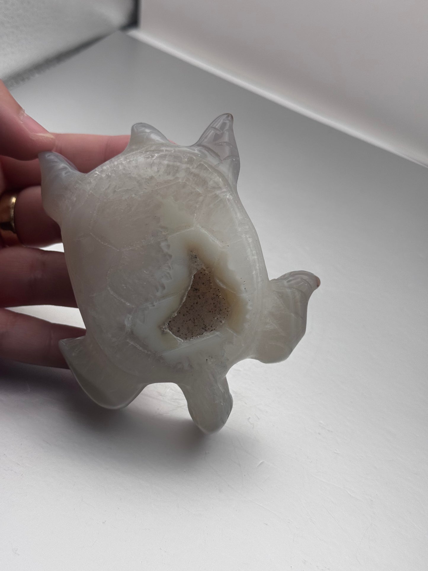 Botswana Agate Turtle Carving