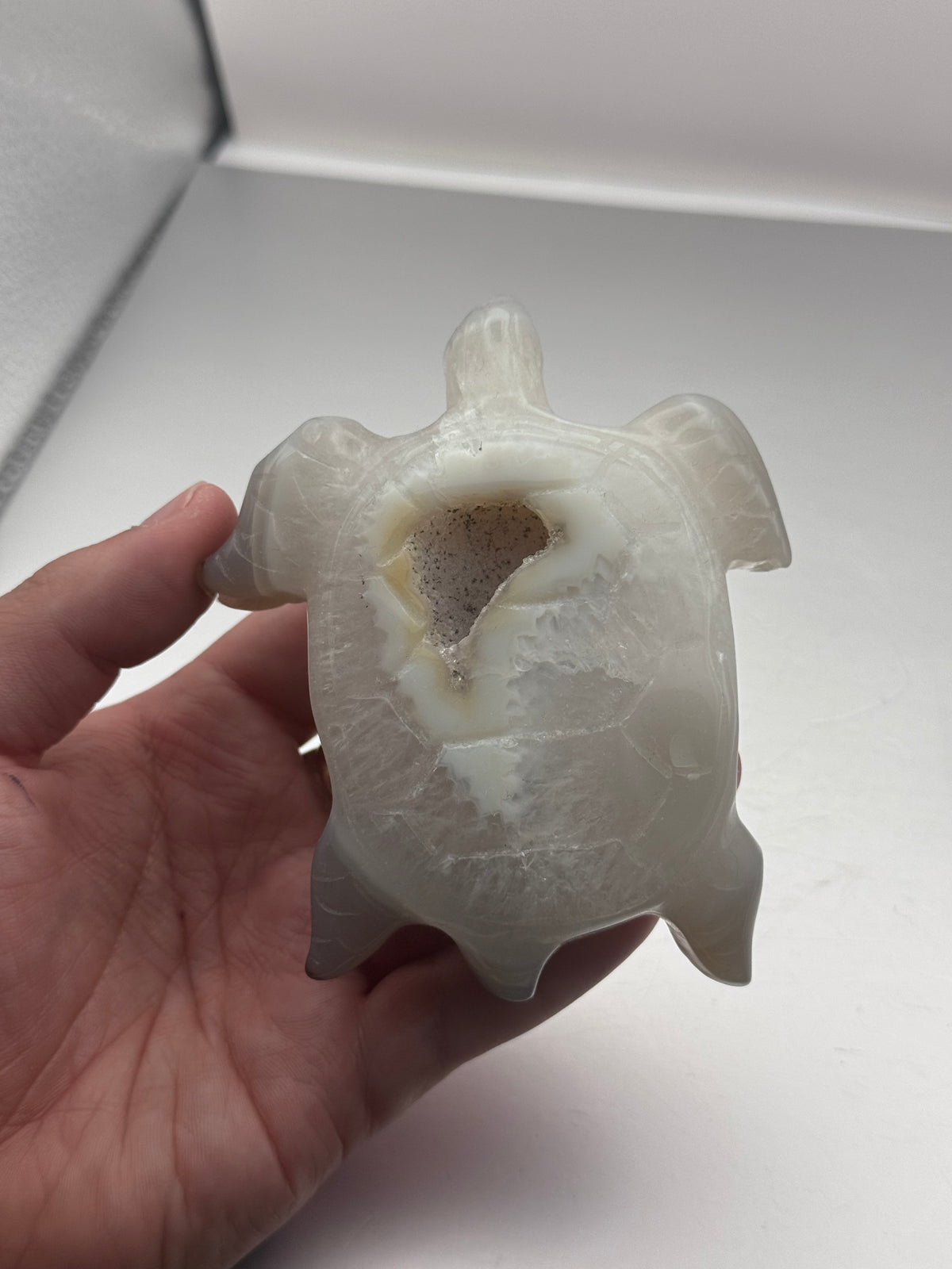 Botswana Agate Turtle Carving