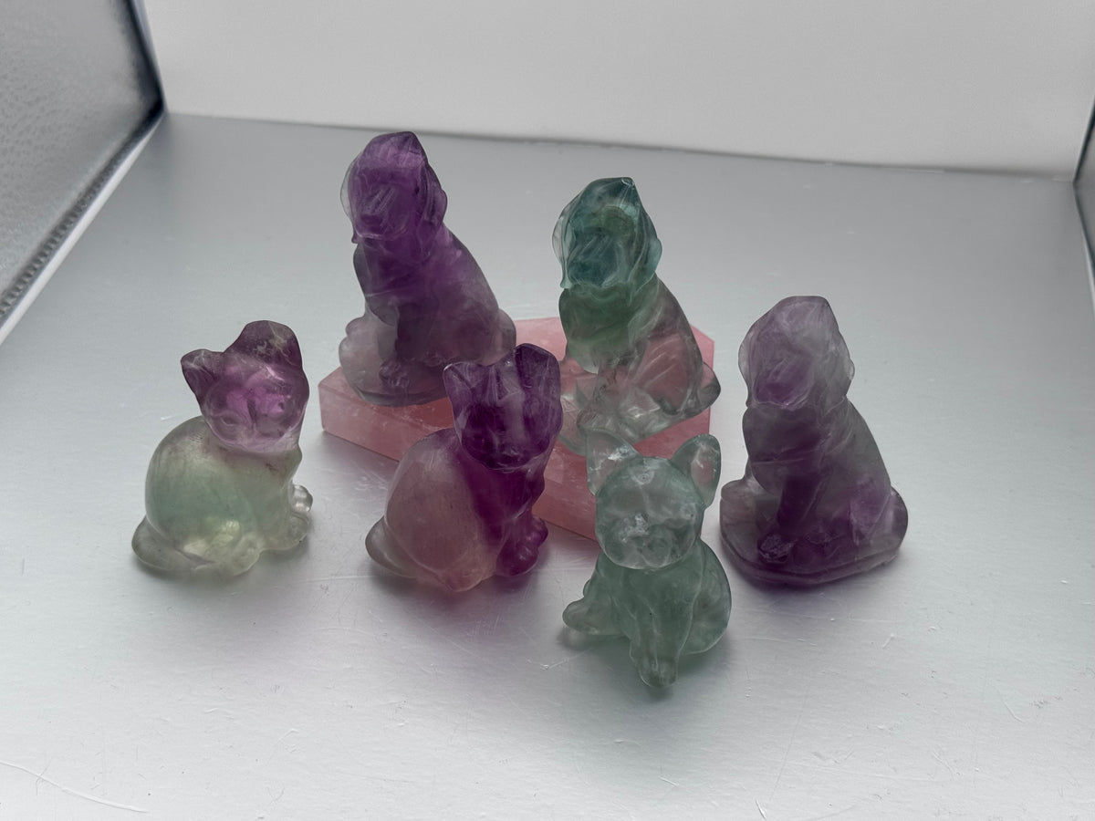 Fluorite Dog & Cat Crystal Carvings