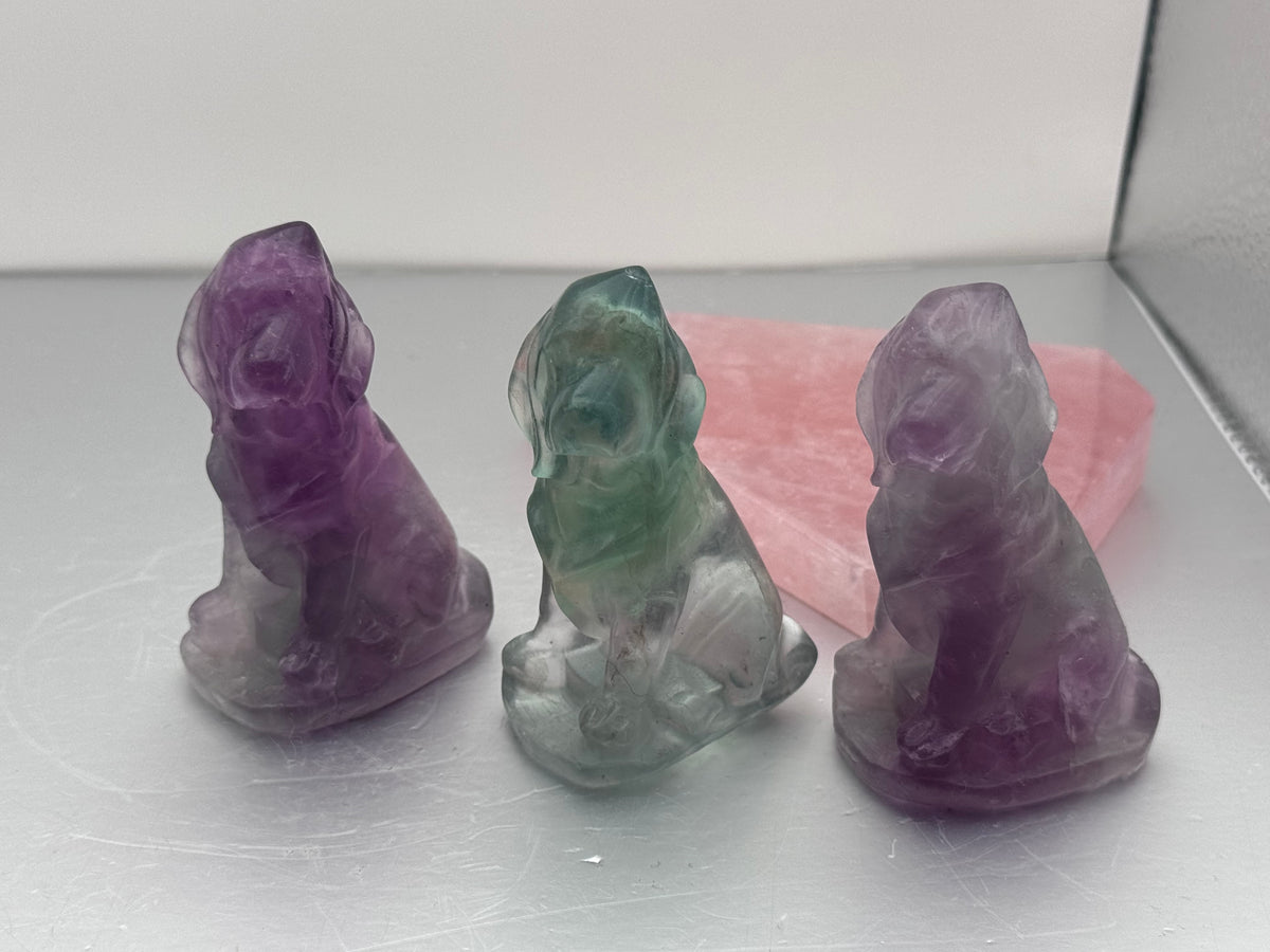Fluorite Dog & Cat Crystal Carvings